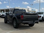 2017 F-150 Thumbnail 7