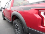 2020 F-150 Thumbnail 4