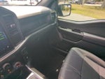 2025 F-150 Thumbnail 18