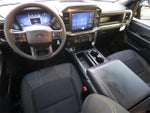 2025 F-150 Thumbnail 6