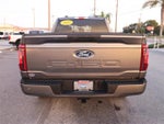 2025 F-150 Thumbnail 11