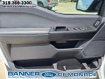 2024 F-150 Thumbnail 15