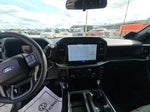 2025 F-150 Thumbnail 9