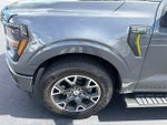 2025 F-150 Thumbnail 15