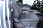2024 F-150 Thumbnail 17