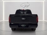 2024 F-150 Thumbnail 4
