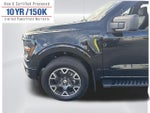 2025 F-150 Thumbnail 11