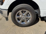 2024 F-150 Thumbnail 9
