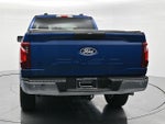 2025 F-150 Thumbnail 6