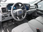 2025 F-150 Thumbnail 12