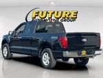 2025 F-150 Thumbnail 5