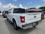 2019 F-150 Thumbnail 2