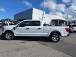 2023 F-150 Thumbnail 4