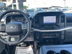 2023 F-150 Thumbnail 12