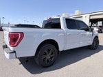 2021 F-150 Thumbnail 4