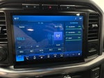 2021 F-150 Thumbnail 11