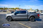 2022 F-150 Thumbnail 4