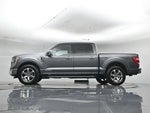 2023 F-150 Thumbnail 7