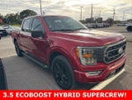 2021 F-150 Thumbnail 2