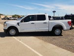 2021 F-150 Thumbnail 2
