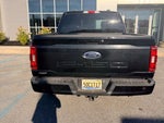 2021 F-150 Thumbnail 4
