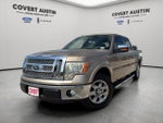2012 F-150 Thumbnail 1