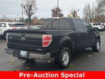 2011 F-150 Thumbnail 5