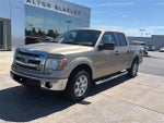 2013 F-150 Thumbnail 2