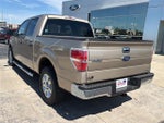 2013 F-150 Thumbnail 22