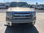2013 F-150 Thumbnail 31