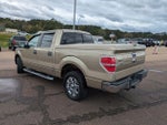 2014 F-150 Thumbnail 6