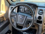 2011 F-150 Thumbnail 17