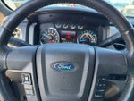2013 F-150 Thumbnail 11