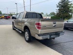 2013 F-150 Thumbnail 11