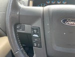 2013 F-150 Thumbnail 16