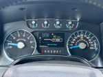 2013 F-150 Thumbnail 24