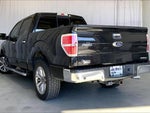 2014 F-150 Thumbnail 5