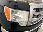 2014 F-150 Thumbnail 11