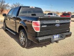2014 F-150 Thumbnail 2