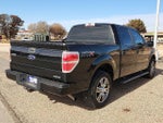 2014 F-150 Thumbnail 3