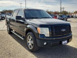 2014 F-150 Thumbnail 4