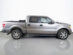 2014 F-150 Thumbnail 11