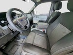 2014 F-150 Thumbnail 17