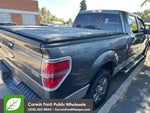 2012 F-150 Thumbnail 5