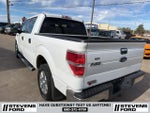 2013 F-150 Thumbnail 8