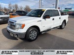 2013 F-150 Thumbnail 10