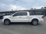 2013 F-150 Thumbnail 2