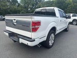 2013 F-150 Thumbnail 5