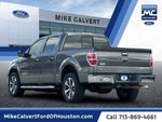 2013 F-150 Thumbnail 3