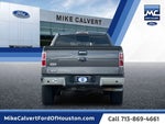 2013 F-150 Thumbnail 4
